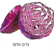 (בספר תמונה) 